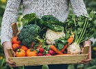 Картофель и овощи открытого грунта дешевеют Картофель и овощи открытого грунта дешевеют